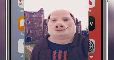 "Стало не до смеха": мужчина получает жуткие изображения человека c лицом свиньи (фото)