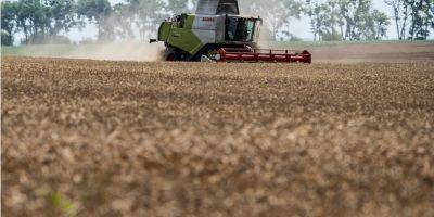 Украина «поставила на паузу» зерновую жалобу в ВТО против Польши, Венгрии и Словакии — Минэкономики