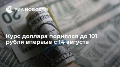 Курс доллара на Московской бирже поднялся до 101,12 рубля впервые с 14 августа