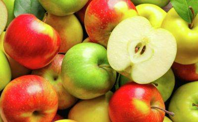 Вы даже не догадывались: какие яблоки самые полезные - зеленые, желтые или красные