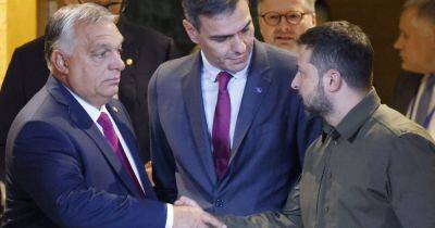 Зеленский и Орбан встретились на саммите в Испании - фото