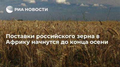 Патрушев: поставки российского зерна в Африку начнутся в течение месяца-полутора
