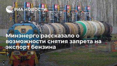 Шульгинов: снятие запрета на экспорт бензина из РФ может стать следующим этапом