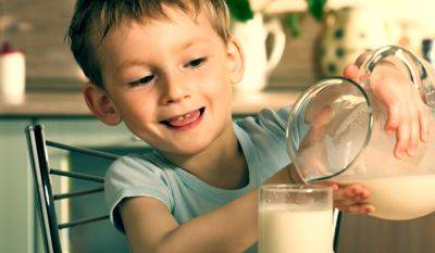 Действует не только на детей: можно ли перед сном пить тёплое молоко и какой от него эффект
