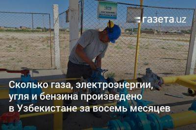 Сколько газа, электроэнергии, угля и бензина произведено в Узбекистане за восемь месяцев