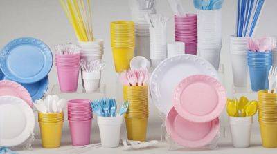 Шило на мыло: экологично ли заменять пластиковую одноразовую посуду на бумажную