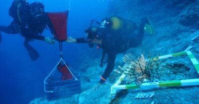 Сокровища 3 600-летней давности: В Турции подняли вещи с древнейшего затонувшего корабля