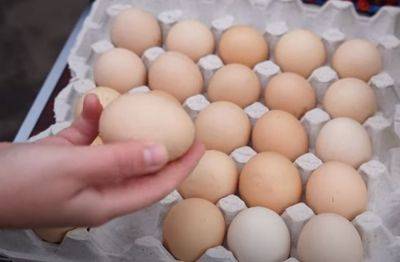 От новых цен голова кругом: в Украине снова подорожали яйца, и это еще не предел