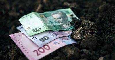 В трех регионах Украины выросла цена земли