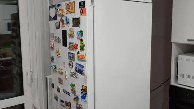 Вы забудете о смраде: что нужно обязательно положить в холодильник для нейтрализации неприятного запаха