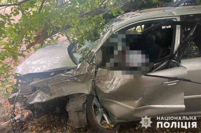 Lexus - На Вінниччині Lexus врізався у дерево: загинула жінка - real-vin.com - Украина
