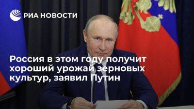 Путин: в этом году Россия получит хороший урожай зерновых и масличных культур