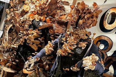 Сходить за хлебушком и попасть в The Last of Us – калифорнийская пекарня создала грибного зомби из выпечки для конкурса