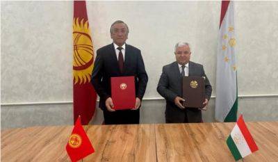 Топографические группы Таджикистана и Кыргызстана согласовали более 43 км границы