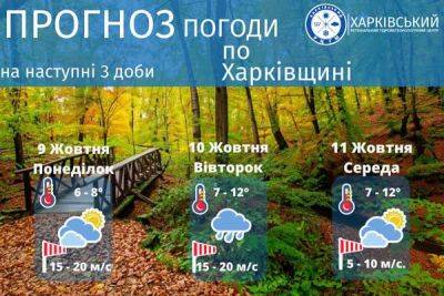 Заморозки и дождь: прогноз погоды в Харькове и области на начало недели