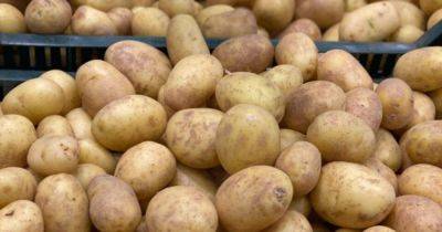 Картофель: медики назвали полезные свойства овоща