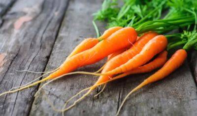 Может развиться каротинемия: почему нельзя злоупотреблять морковью