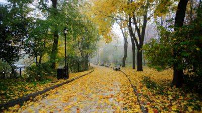 Погода в Украине - 9 октября до +8, сильный ветер - прогноз погоды и карта