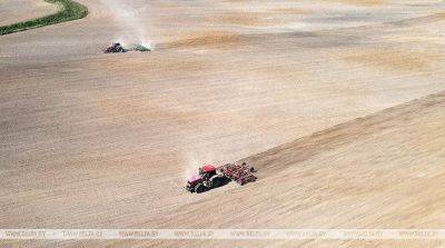 В двух областях Беларуси завершили сев озимых зерновых