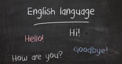 Насколько хорошо украинцы знают английский язык – опрос