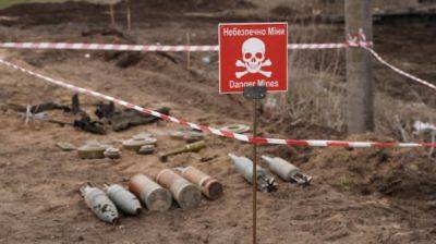 Около 6 миллионов человек в Украине находятся под угрозой минной опасности – премьер