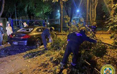В Киеве ураган повалил деревья, опасность сохраняется