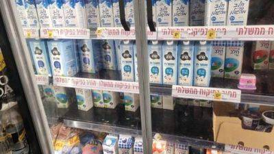 "Израиль не останется без молока": на юге восстанавливают фермы после терактов