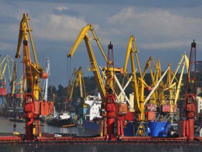 Россияне уничтожали более 280 тонн зерна в месяц, атакуя порты Украины