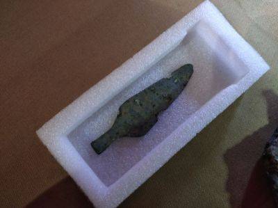 ​На Хортице археологи нашли бронзовый кинжал в возрасте 4 тысяч лет – фото - apostrophe.ua - Украина - Англия