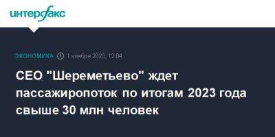 СЕО "Шереметьево" ждет пассажиропоток по итогам 2023 года свыше 30 млн человек