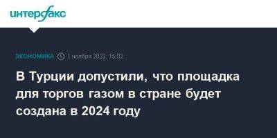 Владимир Путин - Николай Шульгинов - В Турции допустили, что площадка для торгов газом в стране будет создана в 2024 году - smartmoney.one - Москва - Россия - Турция