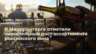 Минпромторг: ассортимент российского вина за последние годы вырос в десять раз