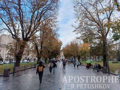Осень во Львове - хорошие фото улиц города