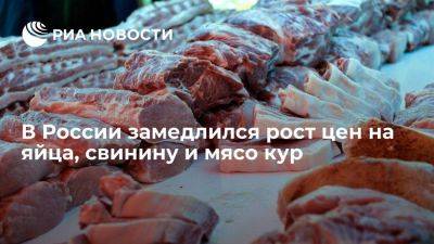 Росстат: рост цен на яйца, свинину и мясо кур в России продолжил замедляться
