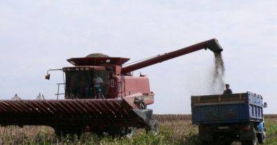 Только с лицензией: в Украине введут новые условия для экспорта агропродукции