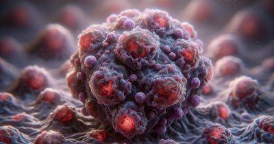 Ученые разработали новый точный метод борьбы с раком: под прицелом три вида болезни