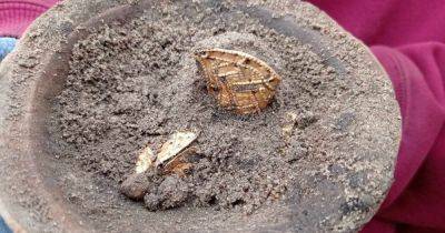Золотой клад времен Гетманщины: на Киевщине археологи обнаружили уникальную находку (фото)