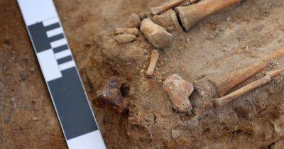 В запечатанной польской могиле обнаружили останки ребенка-вампира: им 400 лет