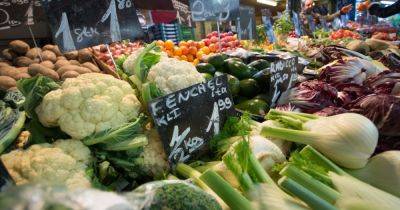 Цены удивят: украинцам рассказали, когда и почему подешевеют овощи