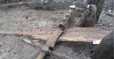 На севере Италии обнаружили редкий инструмент бронзового века: ему более 3 тысяч лет (фото)