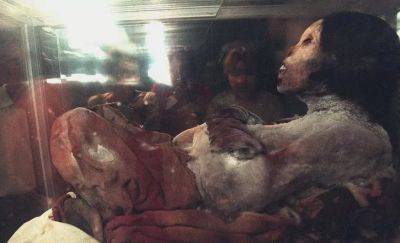 Ученые воспроизвели внешность ледяной Хуанити, принесенной в жертву 500 лет назад - фото