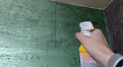 Как удалить плесень со стен квартиры: помогут простые средства