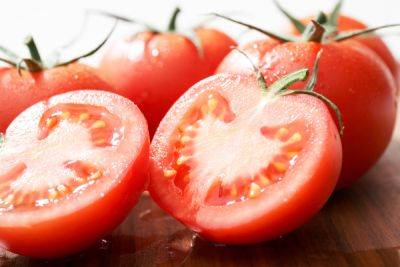 Если у вас нет огорода: как вырастить свои помидоры из магазинных