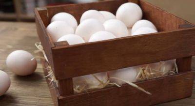 Как правильно хранить яйца, чтобы они долго были свежими: проверенные лайфхаки