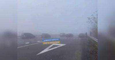 Масштабное ДТП в Полтавской области: из-за сильного тумана столкнулись около 10 автомобилей (видео)