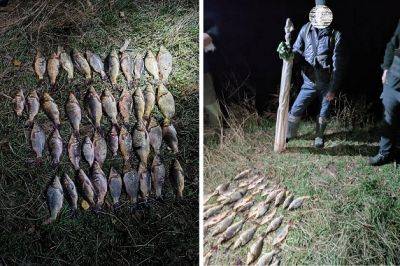 Наловил рыбы на 100 тыс. грн: на Харьковщине поймали браконьера