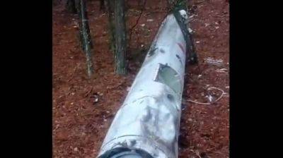 В лесу на Киевщине нашли гигантскую ракету