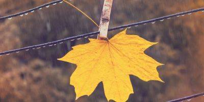 Дожди и аномальные градусы. Погода в выходные заставит прочувствовать позднюю осень, но не без температурных рекордов