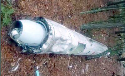 Грибник в лесу на Киевщине нашел ракету