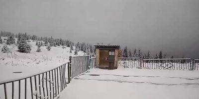 На границе с Румынией выпал снег, а температура упала ниже нуля. Пограничники призывают уклонистов не рисковать жизнью